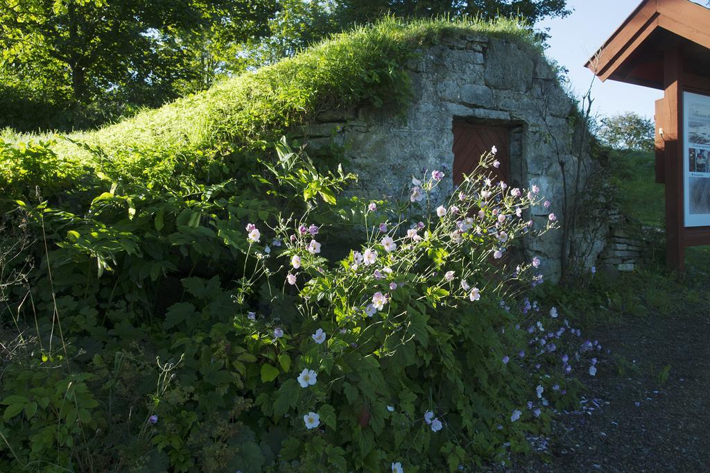 Broddetorp Loefwings B&B מראה חיצוני תמונה